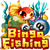 Câu Cá Bingo 6bb